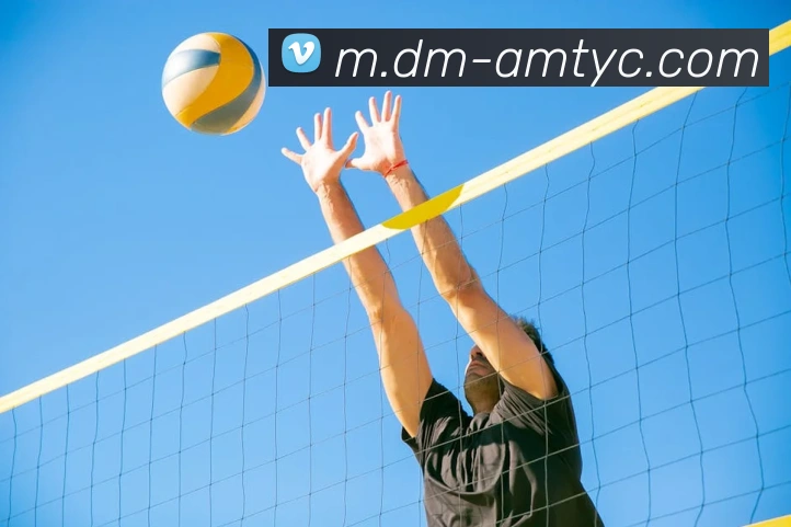 澳门太阳城全站App 澳门太阳城全站App